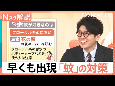 「ぷ～ん」まだ5月なのに…かゆい！早くも出現「蚊」に注意、刺されないために【Nスタ解説】｜TBS NEWS DIG