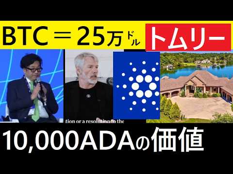 【中堅投資家】BTC25万㌦予測も！まもなくビットコインにビッグウェーブか？ サムネイル