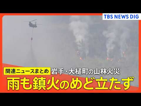 【山林火災 岩手･大槌町】山火事発生6日目/町の中心部から煙/心の支援も/避難指示エリア拡大/複数か所で火の手住宅に迫… サムネイル