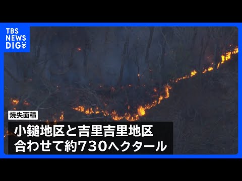 岩手・大槌町の山林火災　発生4日目のきょうはヘリによる放水や1000人規模で地上から消火活動｜TBS NEWS DIG サムネイル
