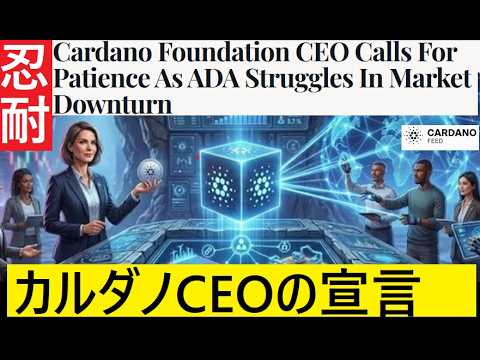【中堅投資家】忍耐を呼び掛けるカルダノ財団CEO「進むプロジェクト」翻訳要約 サムネイル