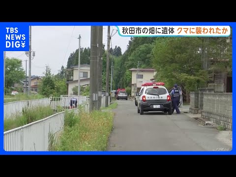 「人のようなものが倒れている」秋田市の畑で身元不明の遺体 クマに襲われたか　付近でクマ駆除｜TBS NEWS DIG サムネイル