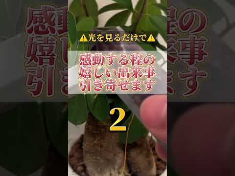 何度も見ると願いが叶いやすくなります。感謝の心も忘れずに願望をコメントをして下さいね。#開運  #運気  #運気上昇… サムネイル