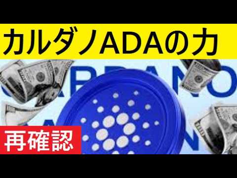 【中堅投資家】最後に確認「カルダノ独自の強みとリスク」 サムネイル