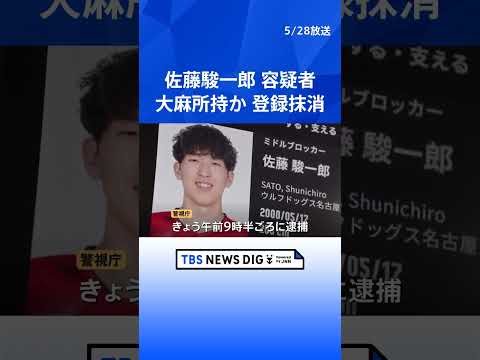 逮捕のバレーボール日本代表・佐藤駿一郎容疑者（26）　パチンコ店にバッグを置き忘れ、“乾燥大麻”発見・通報　協会は代表…