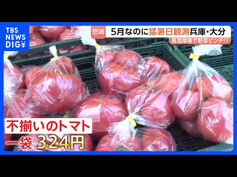 今シーズン初の猛暑日・大分県日田市と兵庫県豊岡市で35.3℃！暑さ前倒しで野菜が悲鳴 キャベツが茶色に…　そんな中、お…