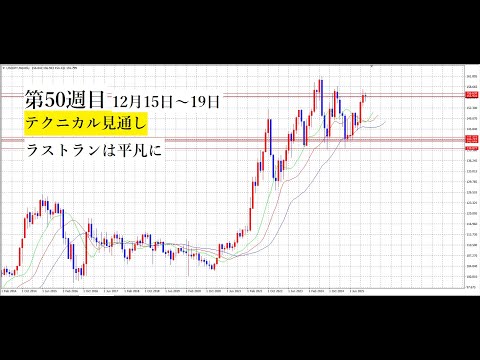 【隠居Vlog】FX：第49週目（12月8～12日）テクニカルまとめ「平凡」 サムネイル