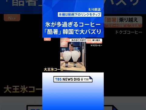 42.5℃猛暑の韓国で大バズり “コップ全体が氷”＆マイナス5℃の極寒部屋　酷暑ビジネスの最前線を取材｜TBS NEW… サムネイル
