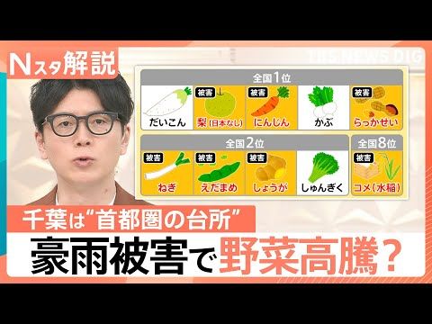 千葉豪雨で“首都圏の台所”が悲鳴 コメに泥のニオイ、種40万粒まき直し…秋冬に野菜高騰の恐れ【Nスタ解説】|TBS N…