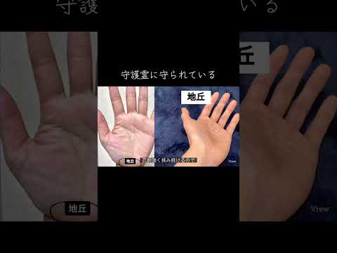 手の付け根が大変重要な場所です 手相 今日から開運 占い 手相占い サムネイル