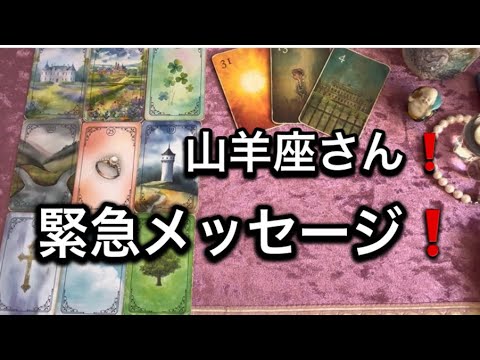 【最高の1月を迎えた✨山羊座さんへのメッセージ💌】⚡️😱全体運⭐️仕事運⭐️恋愛運🩷人間関係🩷ガッツリ読み解きました🃏 サムネイル
