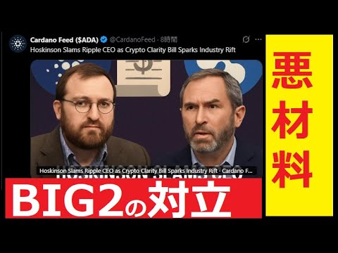 【中堅投資家】ADAとXRPの対立で暴落が来ます。 サムネイル