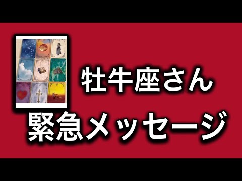 【最高の2月を迎えます✨牡牛座さんへのメッセージ💌】全体運⭐️仕事運⭐️恋愛運🩷において最もラッキーなお誕生日の方をお…