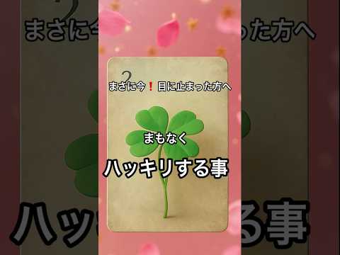 【まさに今❗️目に止まった方へ】 占い タロットルノルマン美音タロット サムネイル