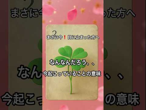 【まさに今❗️目に止まった方へ】 占い タロットルノルマン美音タロット サムネイル