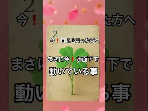 【まさに今❗️目に止まった方へ】 占い タロットルノルマン美音タロット 美音 オラクルカード 恋愛 サムネイル