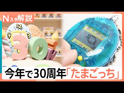 「死なせちゃった」あの日の記憶が蘇る、誕生30年「大たまごっち展」【Nスタ解説】｜TBS NEWS DIG サムネイル