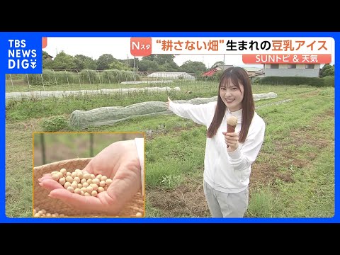 畑なのに“耕さない”？ 地球に優しい「不耕起栽培」実践の農園を取材　二酸化炭素を土の中に留める効果　収穫された大豆でア…
