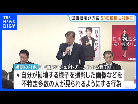 国旗損壊罪制定へ SNSへの投稿なども処罰対象に　自民党が法案骨子案　一部から「過剰規制」と慎重な意見も｜TBS NE… サムネイル