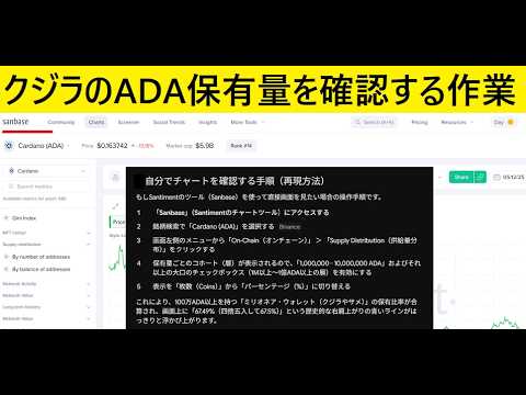 【中堅投資家】大口クジラがカルダノADA保有率67.5％であることを確認するサイトと作業手順 サムネイル