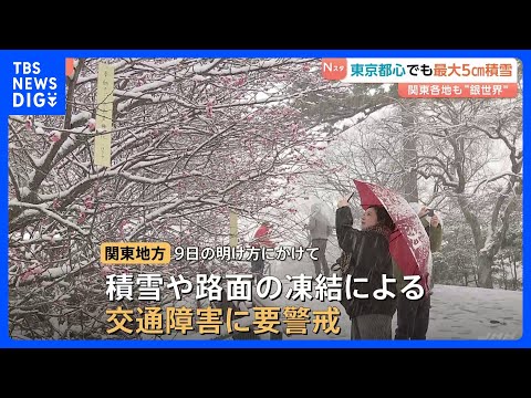 東京都心で最大5cmの積雪　関東各地も“銀世界"に　あす明け方にかけ積雪や路面の凍結などに警戒を｜TBS NEWS D…