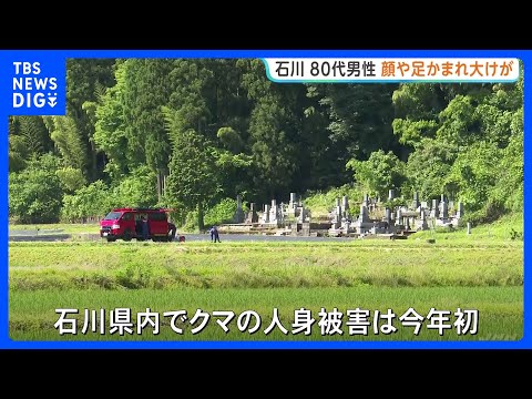 助け呼ぶ声、「クマが覆いかぶさっていた」80代男性が顔や足など大けが 石川・小松市岩渕町 クマは山へ逃走|TBS NE…