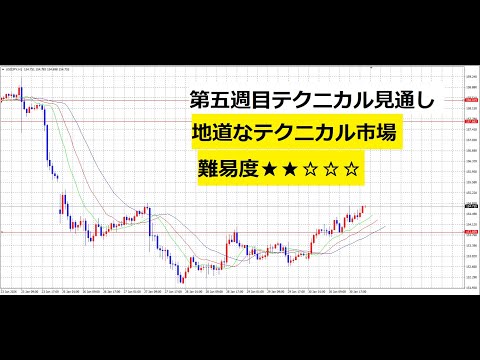 【中堅投資家】FX：２つのテクニカルポイント サムネイル