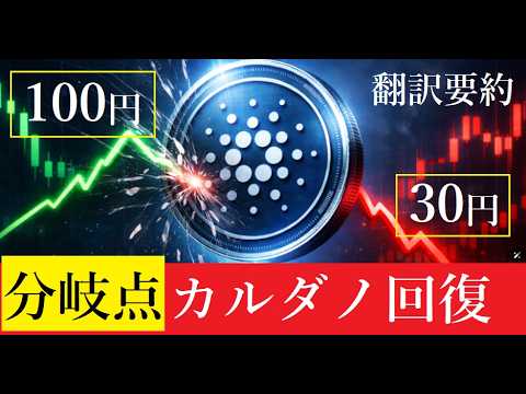 【中堅投資家】ADAの運命の分かれ道「翻訳・要約」 サムネイル