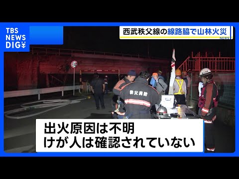 西武秩父線沿線で山林火災 一時運転見合わせ　けが人なし　埼玉・横瀬町　｜TBS NEWS DIG サムネイル
