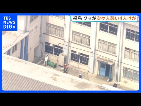 クマが工場・住宅地で人を次々に襲い男女4人けが クマは市内の会社敷地にとどまり警察が対応続ける　福島｜TBS NEWS… サムネイル