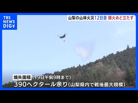 山梨・扇山の山林火災 大月市内で延焼続き鎮火のめど立たず　県内で“戦後最大”の被害見込み｜TBS NEWS DIG