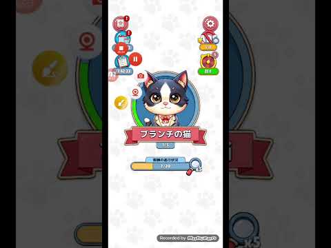 猫ちゃんを探せ(レベル2775ステージ2775)攻略 サムネイル