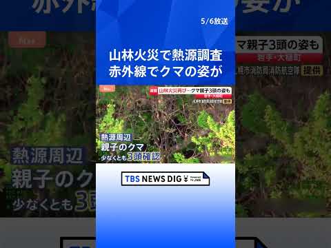 岩手・大槌町の山林火災　調査で3か所の熱源確認　周辺には特殊カメラで捉えた3頭のクマも｜TBS NEWS DIG sh… サムネイル