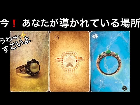 【この動画に縁のある方🌳】まさに今❗️あなたが導かれている場所✨現実が大きく動きます❤️⭐️ガッツリ読み解きます サムネイル