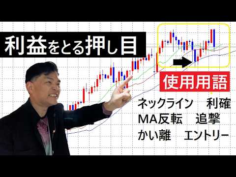 【中堅投資家】FX：講義：差が出る「押し目解説」