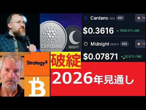 【中堅投資家】マイケルセイラー資産状況見通し/カルダノとNIGHTトークンの関係 サムネイル