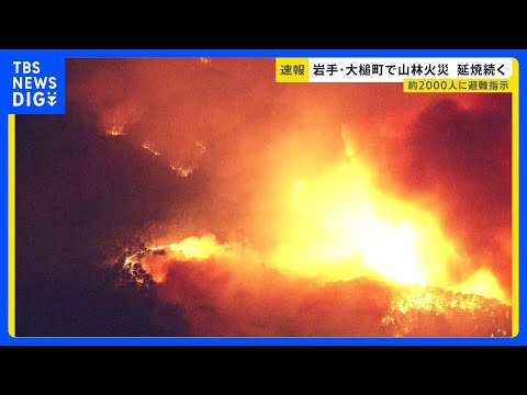 「おとといも津波で避難したのに…」岩手・大槌町で山林火災…約2000人に避難指示　発生から約9時間後も延焼中【news… サムネイル