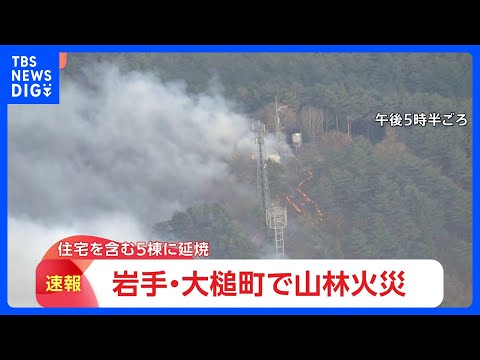 岩手・大槌町で山林火災 住宅含む5棟に延焼　県が災害特別警戒本部を設置｜TBS NEWS DIG サムネイル