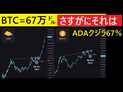 【中堅投資家】BTC＝2026年に67万㌦はないだろう。ADAクジラ67％が起こすこと。