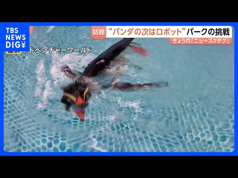 「ペンギンロボット」が新たな看板に？パンダがいなくなったアドベンチャーワールドが仕掛ける“意外”なもの｜TBS NEW… サムネイル