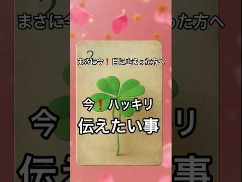 【まさに今❗️目に止まった方へ】占い タロット ルノルマン 美音タロット サムネイル