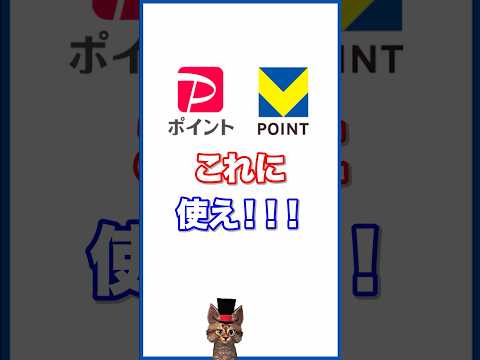 PayPayポイントとVポイントはこれに使え サムネイル