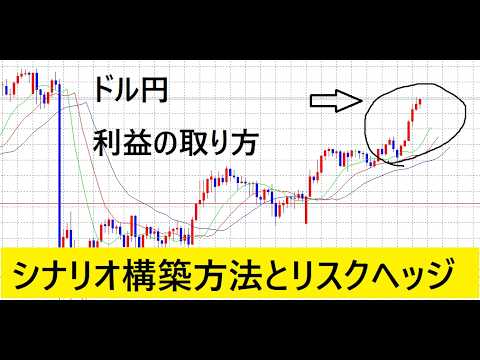 【中堅投資家】（実際の今日のやり方）FXは正午で終わり。 サムネイル