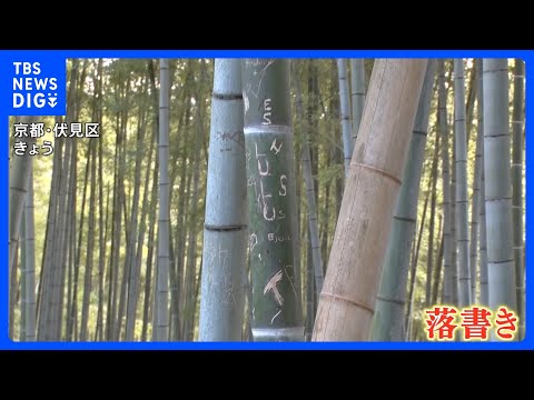 【「許せない」「悪質」】京都・伏見稲荷大社近くの竹林も落書き　去年の嵐山被害に続き…所有者も落胆の声｜TBS NEWS…