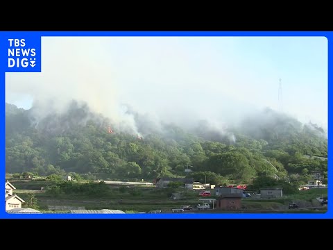 広島・福山市で山火事　消防車46台が出動 鎮火のめど立たず｜TBS NEWS DIG サムネイル