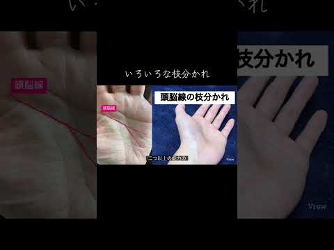 感情線と頭脳線の特殊な枝分かれについて #占い #手相 #手相占い #手相鑑定 サムネイル