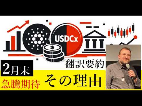 【中堅投資家】USDCｘが2月末カルダノ価格を押し上げる（翻訳・要約）