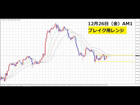 【中堅投資家】FX：今日の方針も昨日と同じ（年末相場） サムネイル