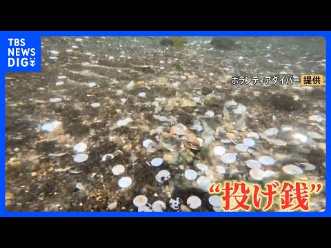 世界遺産で禁止されている“投げ銭”が続発 「美しい池を取り戻したい」ボランティアダイバーの清掃活動に密着　池の中からは… サムネイル