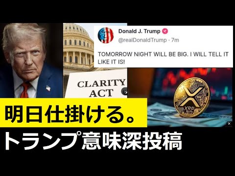 【中堅投資家】XRPとBTC注目のX-DAY「市場構造法案」 サムネイル